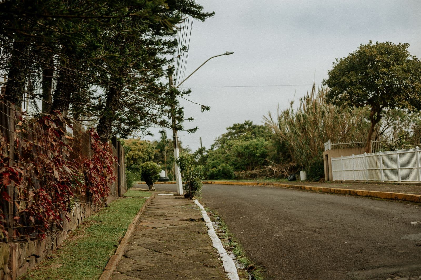 A residential neighborhood in Madera, California served by KTA IPM pest control.