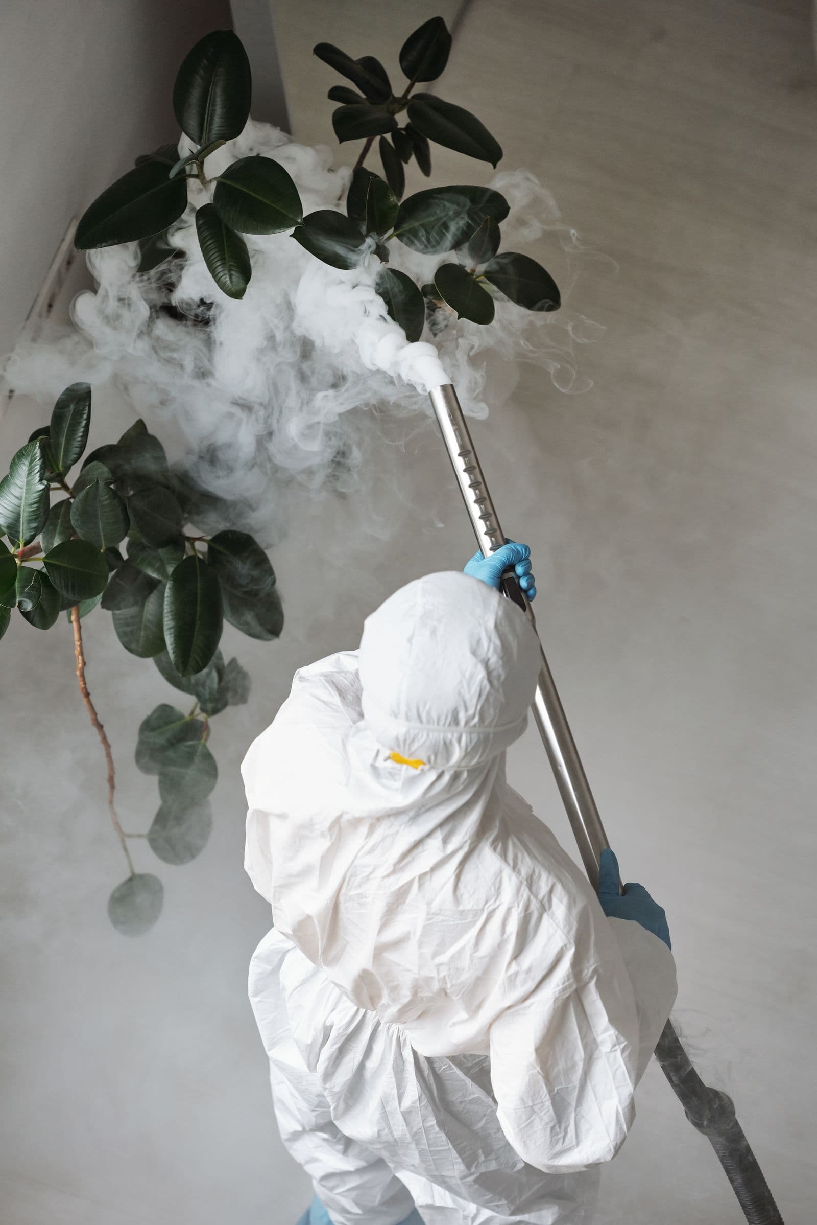 Perimeter pest control treatment protecting a Madera home from ants, roaches, and spiders.