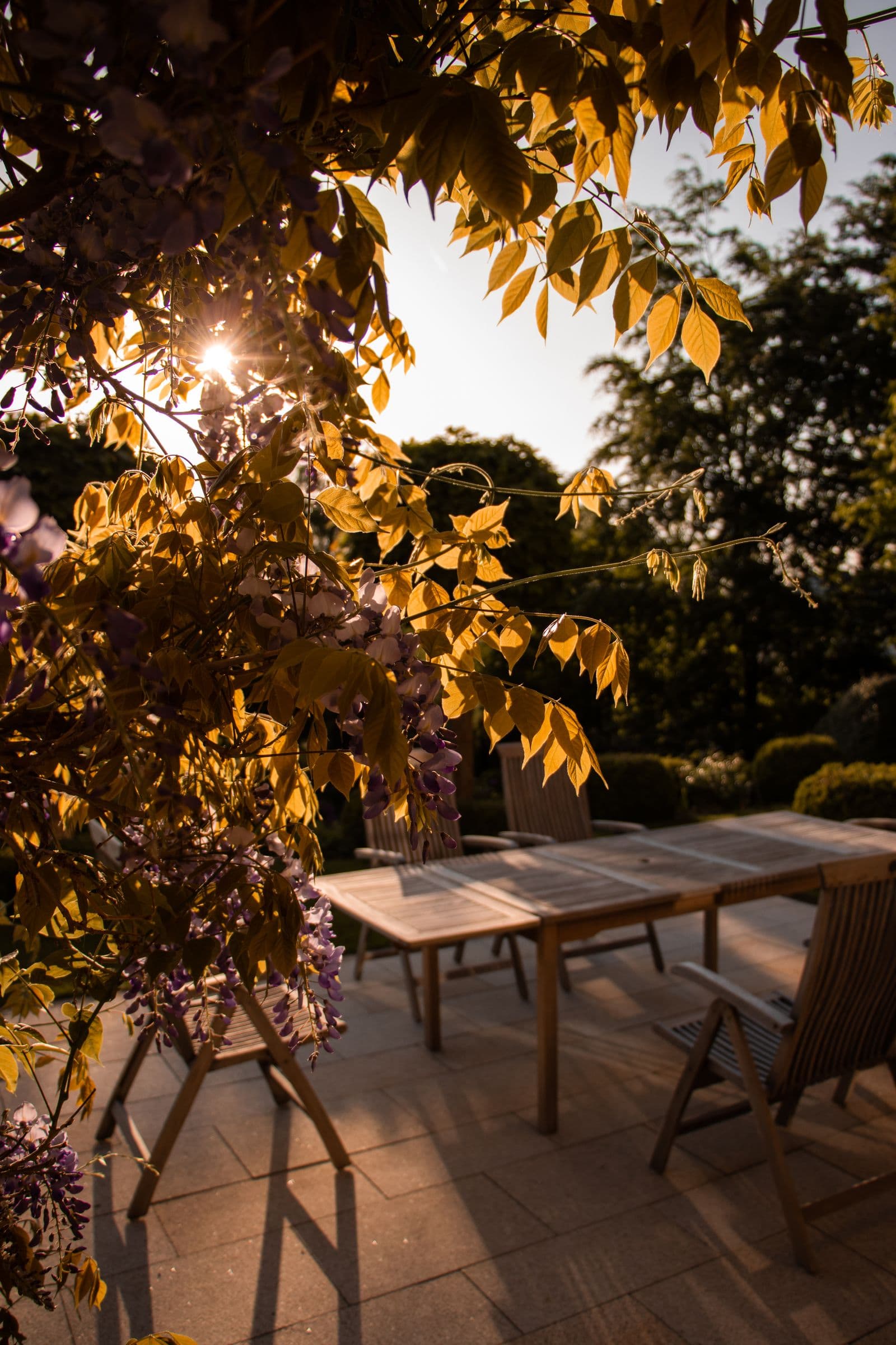 A family backyard at sunset, mosquito-free and ready to enjoy thanks to KTA IPM mosquito control.